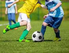 平博体育,产品,平博体育官网,平博体育官网,平博体育平台,平博体育链接,平博体育官方