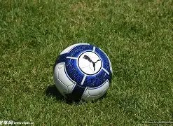 独家揭秘,尤文图斯紧,急策划豪掷,平博体育官网,平博体育平台,平博体育链接,平博体育官方